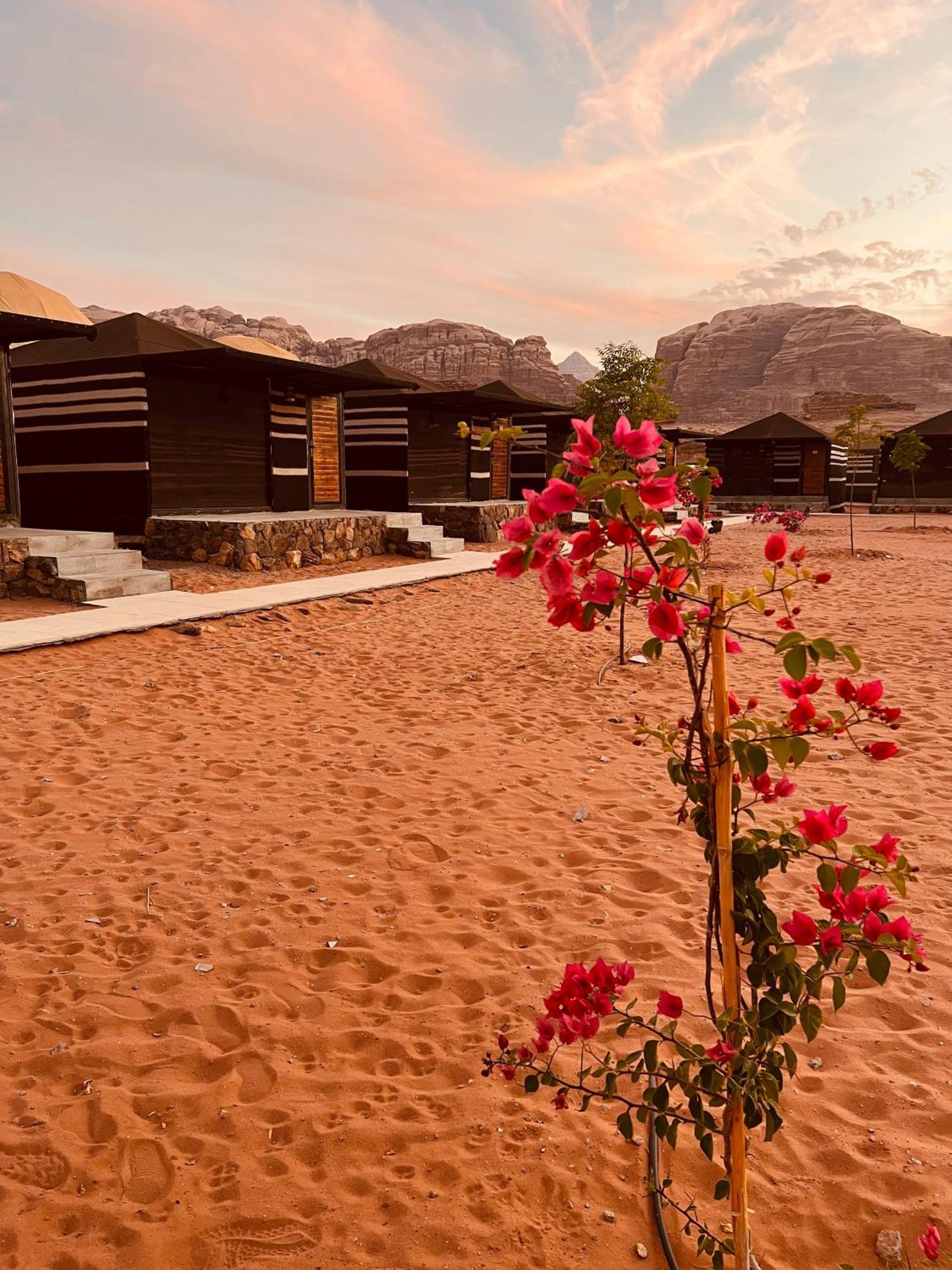 Revan Rum Luxury Camp Wadi Rum Exteriér fotografie