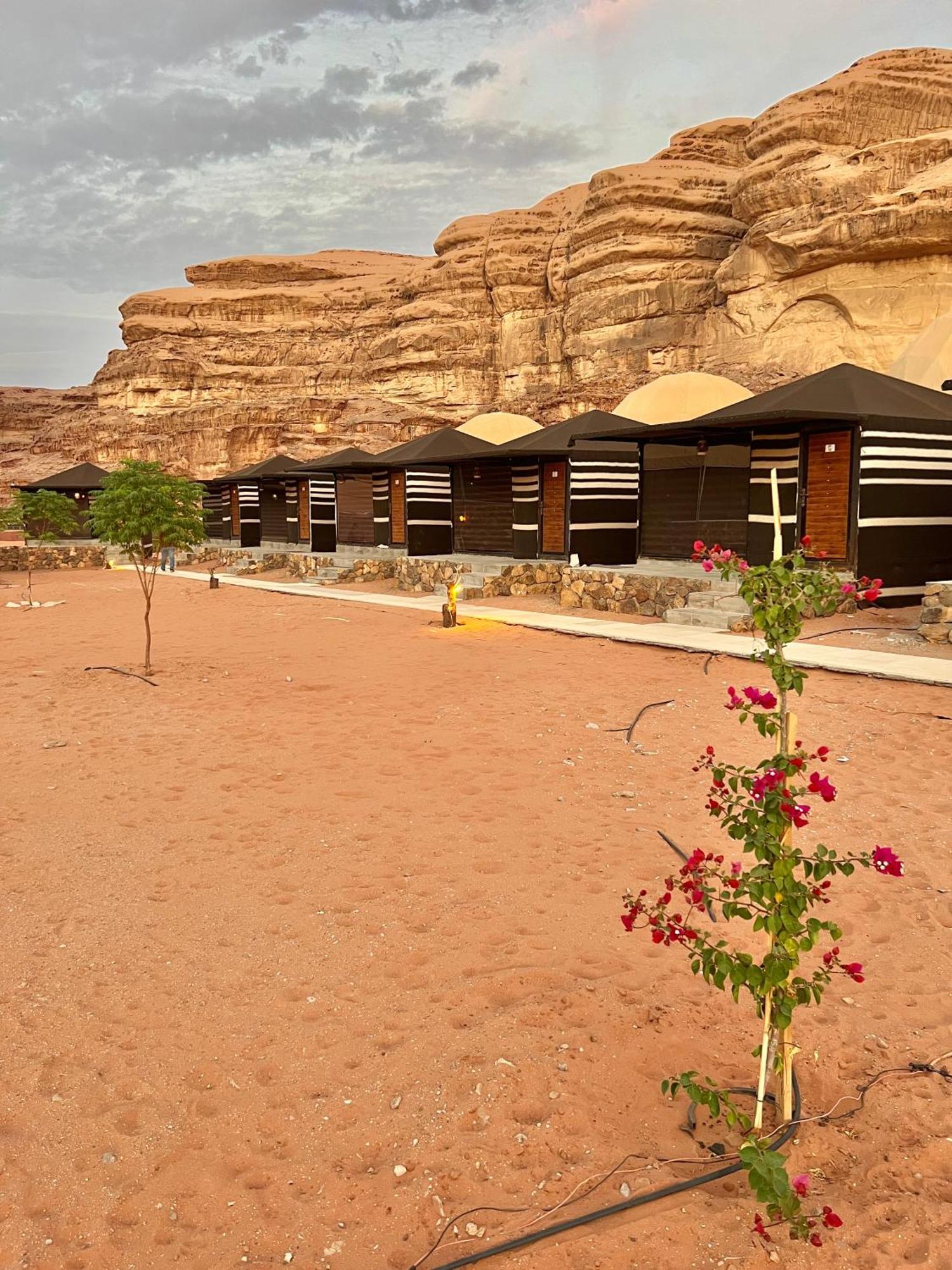 Revan Rum Luxury Camp Wadi Rum Exteriér fotografie