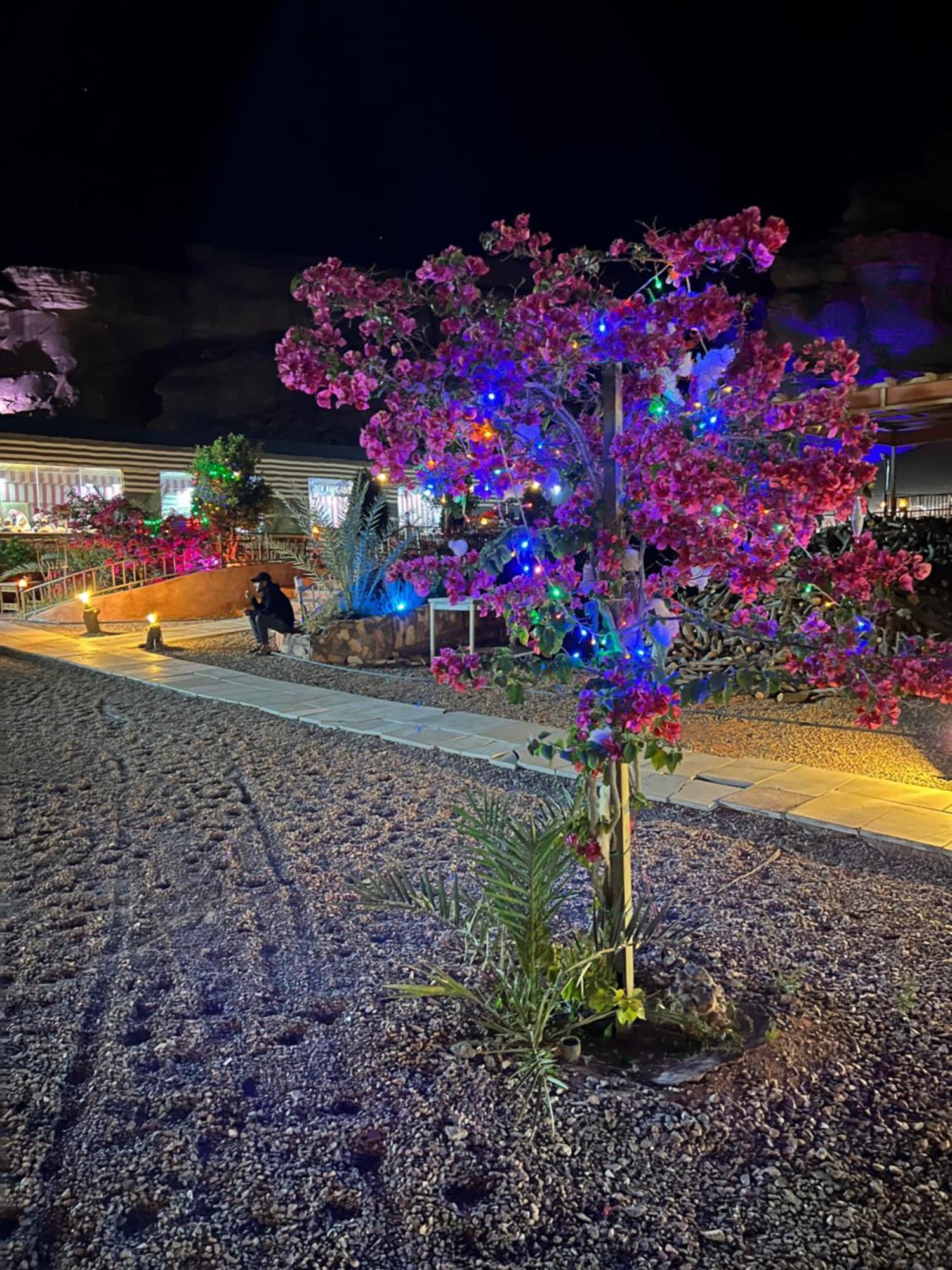 Revan Rum Luxury Camp Wadi Rum Exteriér fotografie
